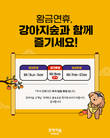 강아지숲, 추석맞이 온라인 프로모션 진행