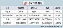 SK그룹 ‘리밸런싱’ 성공…몸집↓ 수익↑