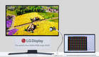 LG디스플레이, 240Hz RGB 스트라이프 OLED 본격 양산