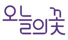 '오늘의꽃', 시리즈 A 20억원 규모 투자 유치