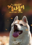 강아지숲, 시즌 이벤트 ‘가을나들이’ 맞이 프로모션 진행