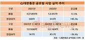 강신호 체제 CJ대한통운, 신성장동력 ‘글로벌사업’ 꺾이나