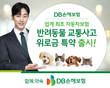 DB손해보험, 자동차보험 ‘반려동물 교통사고 위로금 특약’ 출시