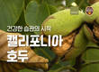 풀무원 올가홀푸드, 캘리포니아 호두협회와 ‘호두 기획전’ 개최