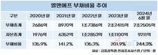 엘앤에프, 치솟는 부채비율 영구채로 잡는다