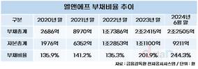 엘앤에프, 치솟는 부채비율 영구채로 잡는다