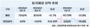 동국제강 중장기 성장 발판, 차세대 신소재 사업 진출