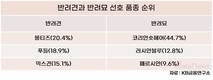 반려견은 '몰티즈', 반려묘는 '코리안숏헤어' 선호