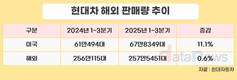 현대차, 미국서 역대급 판매 전동화 경쟁력 입증