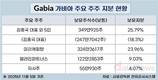 가비아, 행동주의 압박 속 ‘주주환원 강화’ 카드 만지작