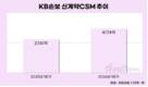 KB손보, 업황 부진에 체력 다지기…신계약 CSM↑