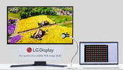 LG디스플레이, 240Hz RGB 스트라이프 OLED 본격 양산