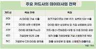 카드업계, 수수료·대출사업 막히자 ‘결제 데이터’에서 금맥 찾기
