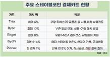 테더·서클, 업비트·빗썸 안거치고 쿠팡 등에서 바로 쓴다