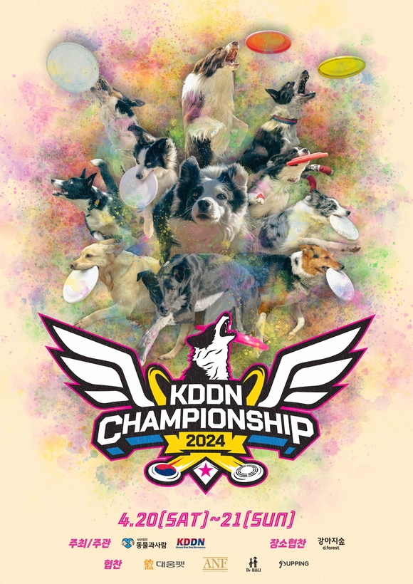 디스크도그 대회 ‘KDDN 챔피언십 2024’ 강아지숲서 열린다