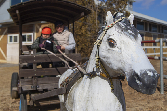경기관광공사, 경기도 설날 여행지 추천