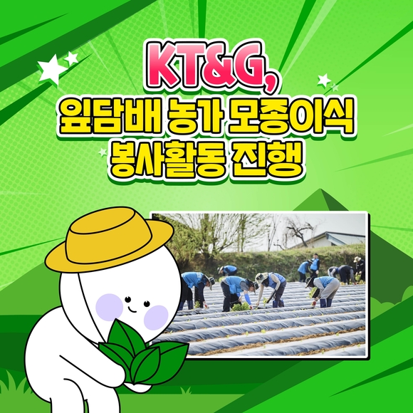 [카드뉴스] KT&G, 잎담배 농가 모종이식 봉사활동 진행